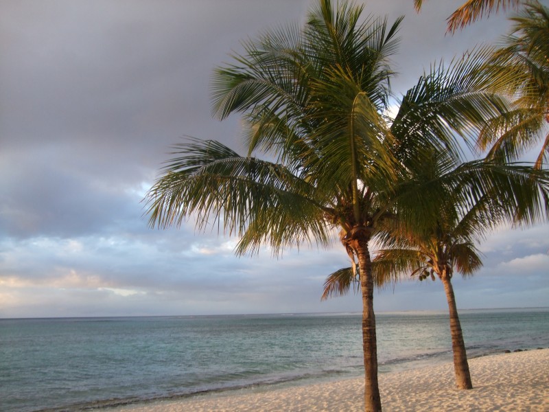 Mauritius 2010 - 0366 